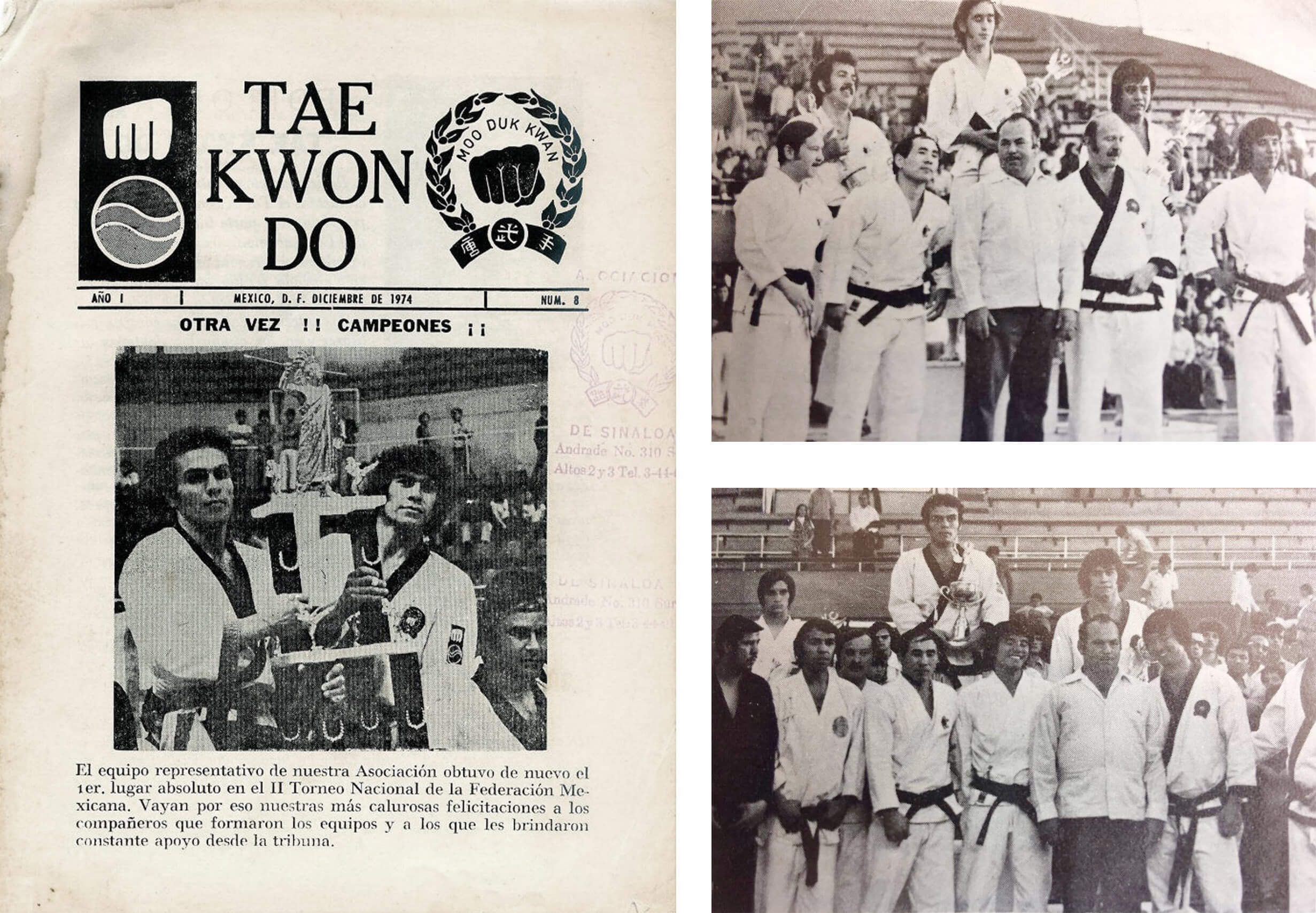 Torneao Nacional de la Federación Mexicana